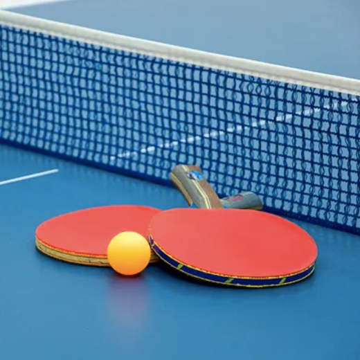 Table de ping pong 274 x 152,5 x 76 cm